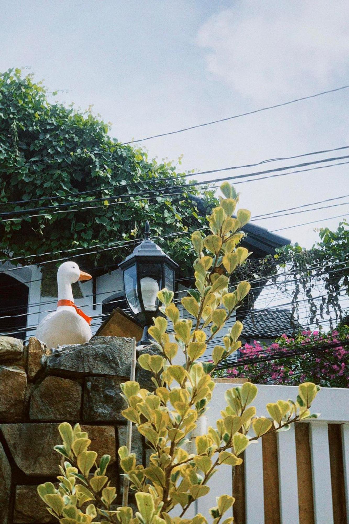 Chai Nho Homestay Đà Lạt Exterior foto